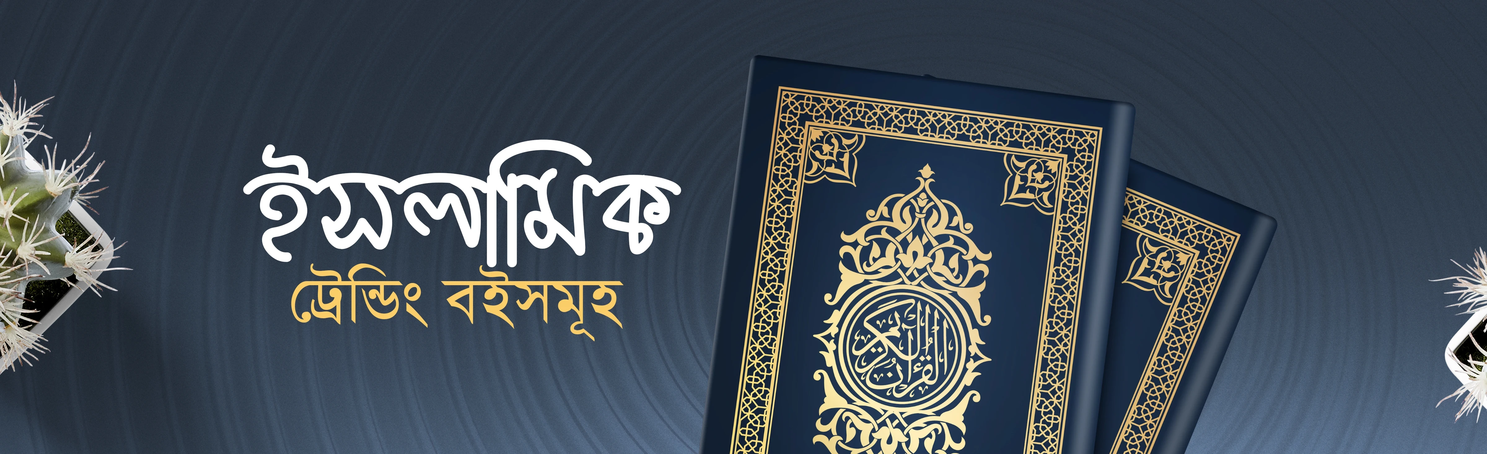 প্রমো ব্যানার